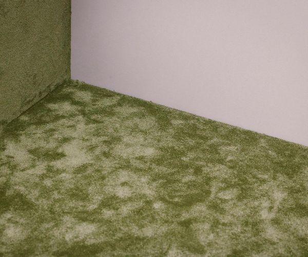 Cozy and clean corner of a room with a yoga mat, a plant, and soft morning light.